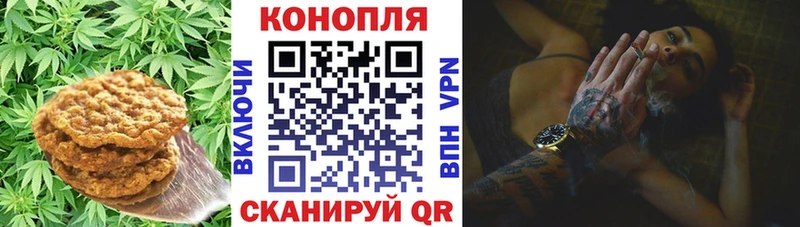 хочу наркоту  Подпорожье  Печенье с ТГК конопля 