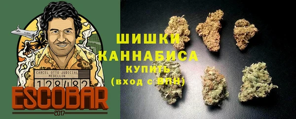 молекула духа Нефтегорск
