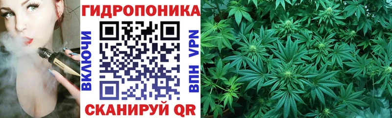Марихуана OG Kush наркотики Подпорожье